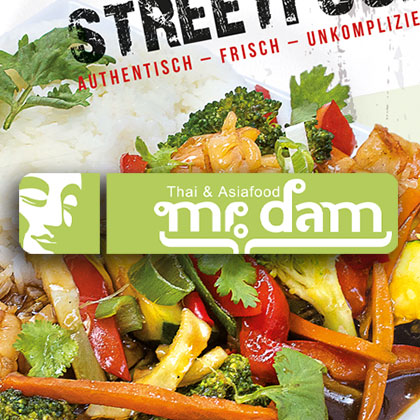 Mr. Dam Logo